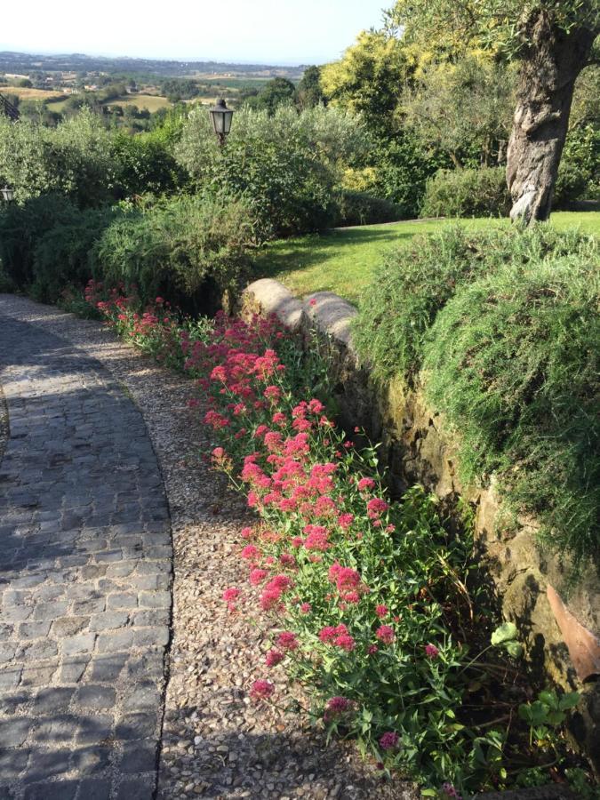Olivella Villa Campagnano Di Roma Eksteriør bilde