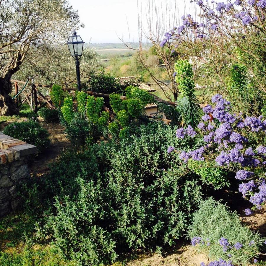 Olivella Villa Campagnano Di Roma Eksteriør bilde