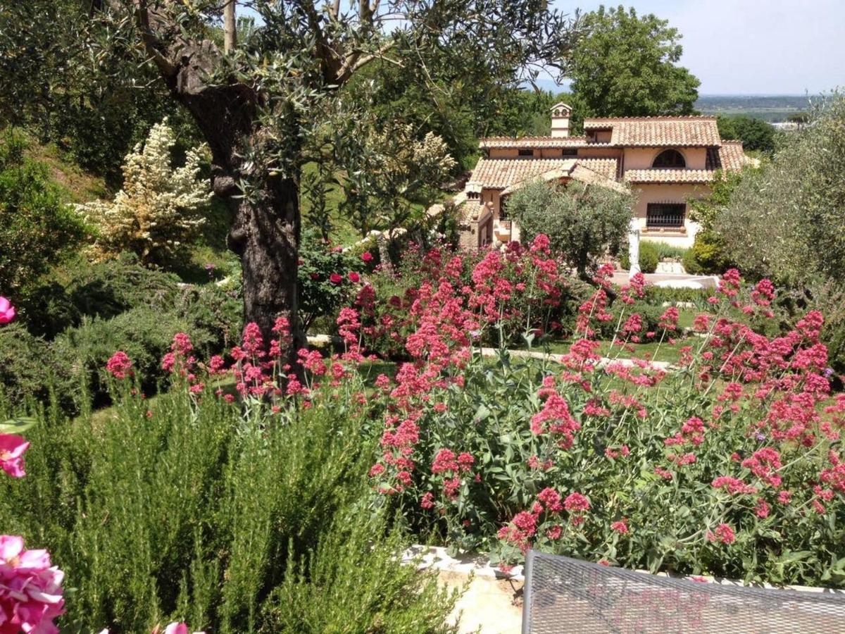 Olivella Villa Campagnano Di Roma Eksteriør bilde