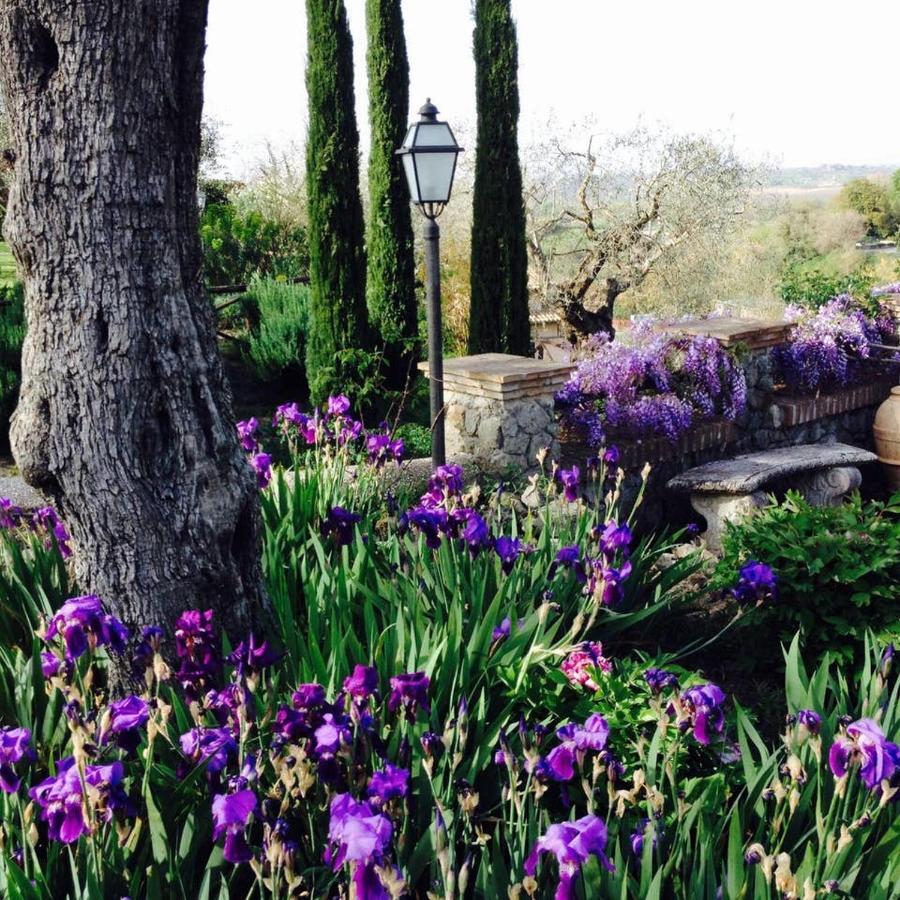 Olivella Villa Campagnano Di Roma Eksteriør bilde
